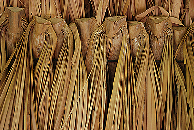 Fibra de Carnaúba